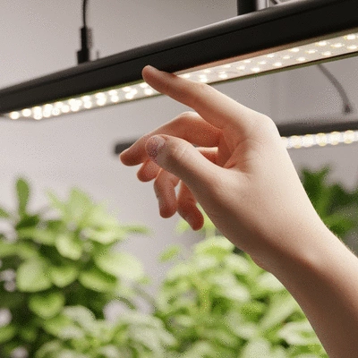 Hand adjusting settings on a modern energy-efficient LED grow light in a home garden, no text, no words, no typography, 8K