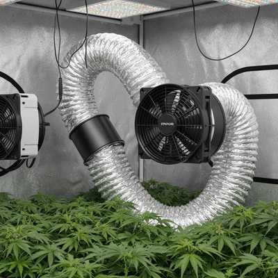 Inline fan connected to ducting inside a grow tent