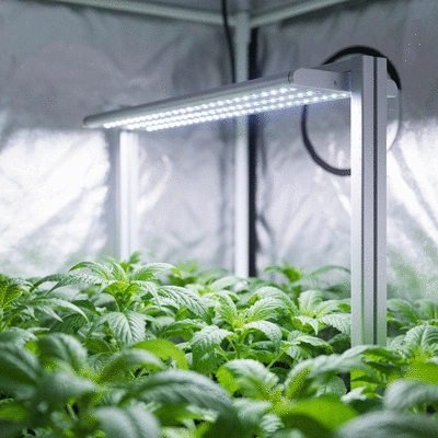 Modern LED grow light panel illuminating healthy green plants in an indoor garden