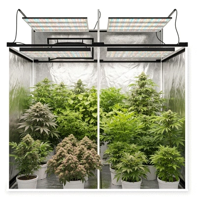 Indoor garden setup with various plants in a grow tent