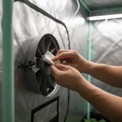 Person cleaning an exhaust fan blade in a grow tent